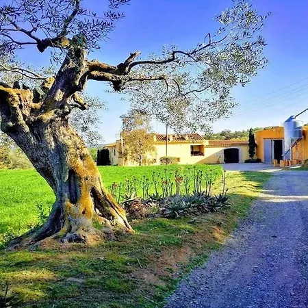 Rural Mas Hortus Літній будинок Жерона